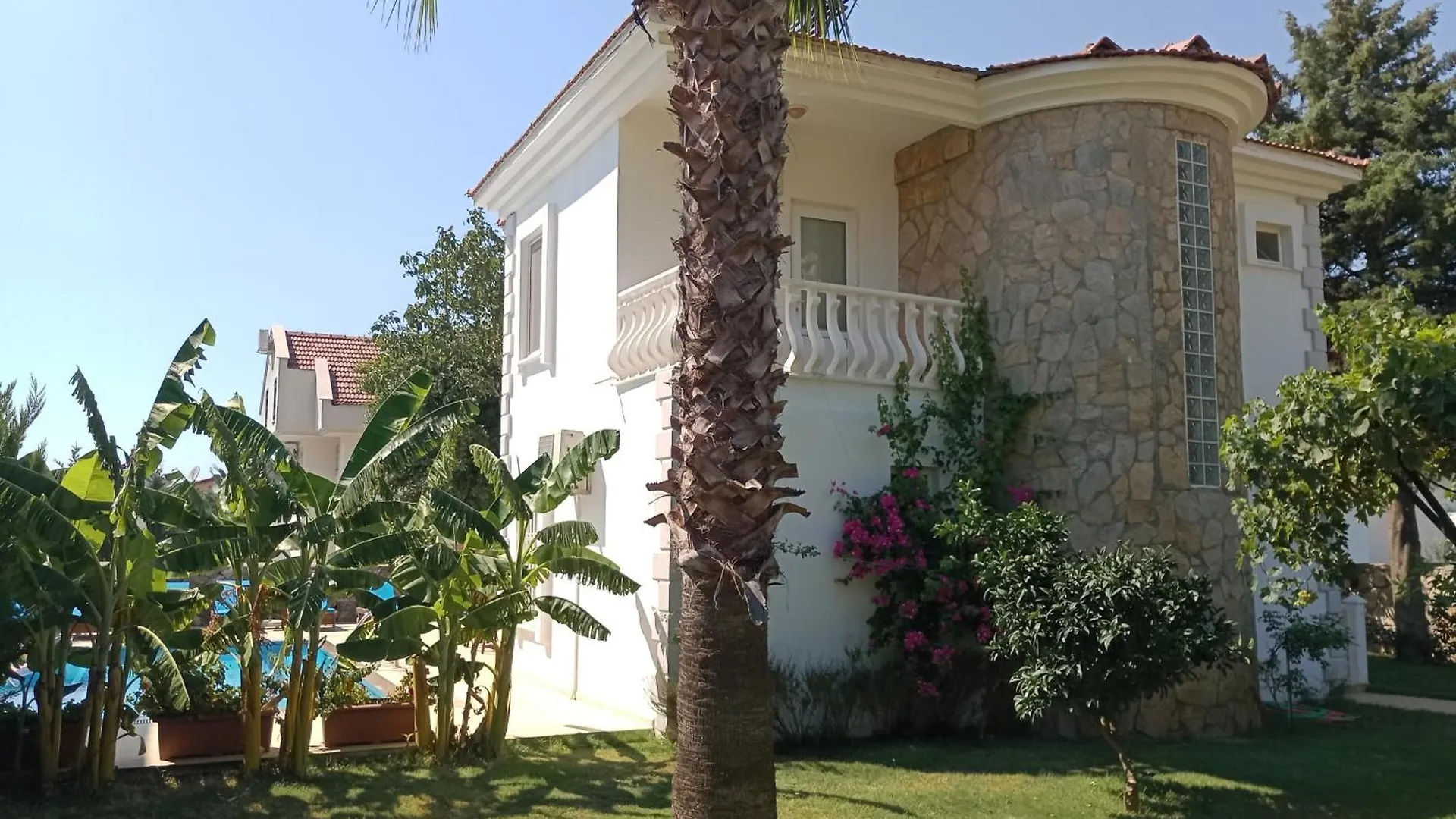 Villa Palm Fethiye
